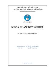 Khóa luận Nghiên cứu khả năng hấp thụ amoni và phốt phát của cây cói