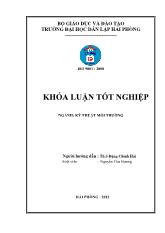 Khóa luận Nghiên cứu tổng hợp biodiesel thân thiện môi trường từ dầu thực vật (dầu nành) trên xúc tác MgO