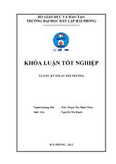 Khóa luận Tìm hiểu khả năng hấp phụ niken trong nuớc của vật liệu hấp phụ chế tạo từ Bã Mía