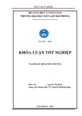 Nghiên cứu khả nang hấp phụ Zn 2+ của vật liệu hấp phụ đi từ quặng apatit loại II, buớc đầu sử dụng vật liệu ứng dụng vào xử lý zn 2+ trong nuớc thải công nghiệp