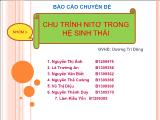 Chu trình nitơ trong hệ sinh thái