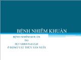 Đề tài Bệnh nhiễm khuẩn do họ vibrionaceae ở động vật thủy sản nuôi