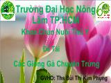 Đề tài Các giống gà chuyên trứng