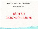 Đề tài Chăn nuôi trâu bò