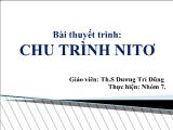 Đề tài Chu trình nitơ