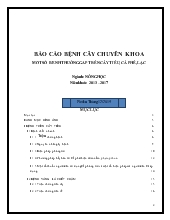 Đề tài Một số bệnh thường gặp trên cây tiêu, cà phê, lạc