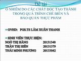 Đề tài Ô nhiễm do các chất độc tạo thành trong quá trình chế biến và bảo quản thực phẩm