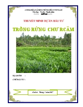 Đề tài Trồng rừng Chư Rcăm