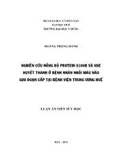 Luận án Nghiên cứu nồng độ Protein S100B và NSE huyết thanh ở bênh nhân nhồi máu não giai đoạn cấp tại bệnh viện trung ương Huế