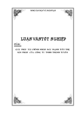 Luận văn Giải pháp tài chính nhằm đẩy mạnh tiêu thụ sản phẩm của công ty TNHH Thành Tuyên