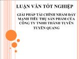 Luận văn Giải pháp tài chính nhằm đẩy mạnh tiêu thụ sản phẩm của công ty TNHH Thành Tuyên Tuyên Quang