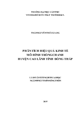 Luận văn Phân tích hiệu quả kinh tế mô hình trồng chanh huyện Cao Lãnh, tỉnh Đồng Tháp