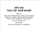 Báo cáo Tham gia hoạt động trồng và chăm sóc cây chuối tại công ty Huy Long An, trang trại Bời Lời tại xã Đôn Thuận – huyện Trảng Bàng – tỉnh Tây Ninh