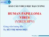 Đề tài Human papilloma virus (virus HPV)