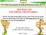 Đề tài Tìm hiểu thành phần sâu hại, một số loài sâu hại chính trên cây khoai lang và cây sắn, các biện pháp phòng trừ và cơ sở khoa học của các biện pháp đó