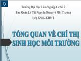 Đề tài Tổng quan về chỉ thị sinh học môi trường