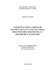 Luận án Ảnh hưởng ngọn lá khoai mì (Manihot esculenta Crantz) trong khẩu phần đến sinh trưởng và sinh khí mê tan ở bò thịt