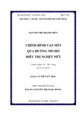 Luận án Chỉnh hình van mũi qua đƣờng mổ hở điều trị nghẹt mũi
