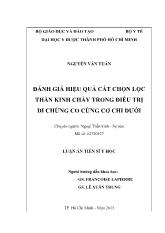 Luận án Đánh giá hiệu quả cắt chọn lọc thần kinh chày trong điều trị di chứng co cứng cơ chi dưới