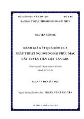 Luận án Đánh giá kết quả sớm của phẫu thuật nội soi ngoài phúc mạc cắt tuyến tiền liệt tận gốc
