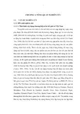 Luận án Nghiên cứu ảnh hưởng của truyền thông tiếp thị đến các thành phần giá trị thương hiệu nước giải khát tại Việt Nam