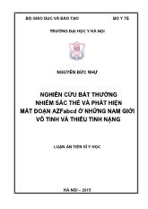 Luận án Nghiên cứu bất thường nhiễm sắc thể và phát hiện mất đoạn AZFabcd ở những nam giới vô tinh và thiểu tinh nặng