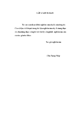 Luận án Nghiên cứu điều trị phẫu thuật bắc cầu động mạch vành trên bệnh nhân có phân suất tống máu thất trái giảm