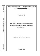 Luận án Nghiên cứu sử dụng ảnh vệ tinh Spot-5 trong phân loại các trạng thái rừng tỉnh Bắc Kạn