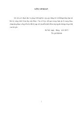 Luận án Nghiên cứu tổng hợp compozit PANi và các phụ phẩm nông nghiệp để xử lý các kim loại nặng Pb (II), Cr (VI) và Cd (II)