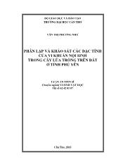 Luận án Phân lập và khảo sát các đặc tính của vi khuẩn nội sinh trong cây lúa trồng trên đất ở tỉnh Phú Yên