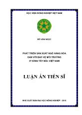 Luận án Phát triển sản xuất ngô hàng hóa gắn với bảo vệ môi trường ở vùng Tây bắc Việt Nam
