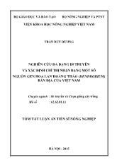 Tóm tắt Luận án Nghiên cứu đa dạng di truyền và xác định chỉ thị nhận dạng một số nguồn gen hoa lan Hoàng Thảo (Dendrobium) bản địa của Việt Nam