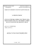 Tóm tắt Luận án Study of the equatorial electrojet (EEJ) from champ satellite and observatories data in Vietnam and adjacent areas
