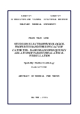 Tóm tắt Luận án Study on electrophysiological properties and the efficacy of catheter – based radio frequency ablation of paroxysmal atrial fibrillation