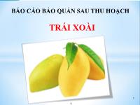 Báo cáo bảo quản sau thu hoạch trái xoài