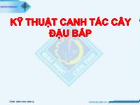 Đề tài Kỹ thuật canh tác cây đậu bắp