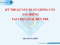 Đề tài Kỹ thuật sản xuất giống cây sầu riêng tại chợ Lách, Bến Tre