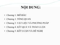 Đề tài So sánh mười giống ngô lai đơn tại Hưng Thịnh, Trảng Bom, Đồng Nai