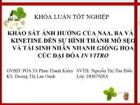 Khóa luận Khảo sát ảnh hưởng của NAA, BA và Kinetine đến sự hình thành mô sẹo và tái sinh nhân nhanh giống hoa cúc Đại đóa in vitro