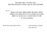 Khóa luận Khảo sát đặc điểm sinh trưởng, phát triển và năng suất của 8 dòng lúa đột biến vụ xuân 2011 tại xã Tân Thạnh Đông, huyện Củ Chi, Tp. Hồ Chí Minh