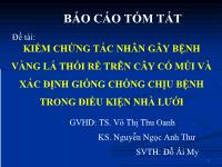 Khóa luận Kiểm chứng tác nhân gây bệnh vàng lá thối rễ trên cây có múi và xác định giống chống chịu bệnh trong điều kiện nhà lưới