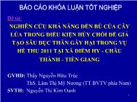 Khóa luận Nghiên cứu khả năng đền bù của cây lúa trong điều kiện hủy chồi để giả tạo sâu đục thân gây hại trong vụ hè thu 2011 tại xã Điềm Hy – Châu Thành – Tiền Giang