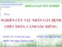 Khóa luận Nghiên cứu tác nhân gây bệnh chết thân, cành sầu riêng