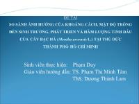 Khóa luận So sánh ảnh hưởng của khoảng cách, mật độ trồng đến sinh trưởng, phát triển và hàm lượng tinh dầu của cây bạc hà (Mentha arvensis L.) tại Thủ Đức thành phố Hồ Chí Minh