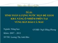 Khóa luận Tính toán lượng nước mặn để giảm khả năng ô nhiễm phèn tại vùng bán đảo Cà Mau