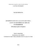 Tóm tắt Luận án Determination of causative bacteria agent of hemorrhagic disease in mudskipper
