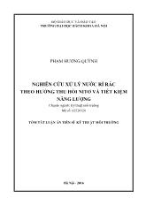 Tóm tắt Luận án Nghiên cứu xử lý nước rỉ rác theo hướng thu hồi nitơ và tiết kiệm năng lượng