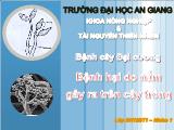 Bệnh hại do nấm gây ra trên cây trồng