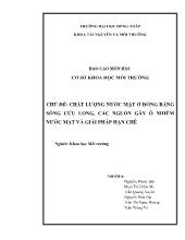 Đề tài Chất lượng nước mặt ở đồng bằng sông Cửu long, các nguồn gây ô nhiễm nước mặt và giải pháp hạn chế