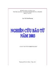 Đề tài Nghiên cứu bão từ năm 2003